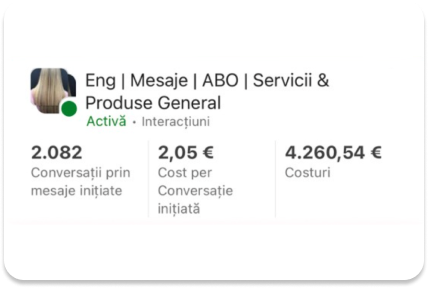 Campanie Meta — 2.082 conversații la 2,05 € fiecare